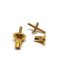 2 Supports Dores de chevalet Tune-o-Matic Filletage Imperial (US) avec inserts