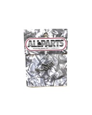 12 Vis hauteur inox 9.5mm-3/8 inch pour cordier de guitare. tete fraisee