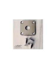 Plaque Input Hosco pour guitare type Gibson Epiphone Les Paul LP