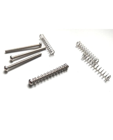 4 Nickel-Schrauben für Humbucker + Federn