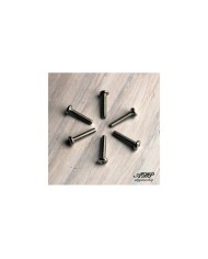 6 Vis Micro Stratocaster Nickel  3.30 mmx18mm
