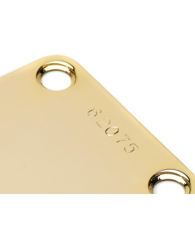 Halsplatte zur Halsbefestigung für Strat Tele, P-J-Bass, Seriennummer, Gold