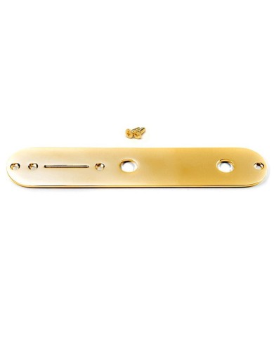 Goldene Kontrollplatte für Telecaster