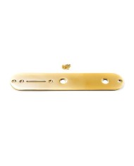 Goldene Kontrollplatte für Telecaster