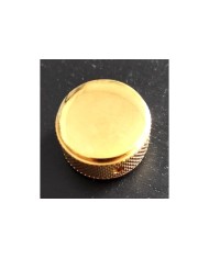 1 Bouton Doré TVjones Style Gretsch