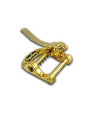 Original USA B5 "Horseshoe" Bigsby Left Handed Gold