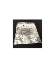 6 Vis Justesse / intonation + ressorts acier inoxidable stle Tele