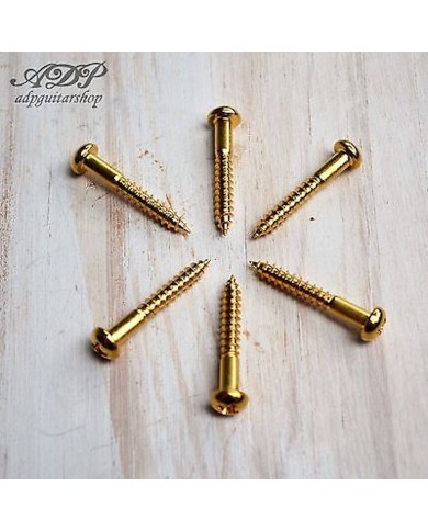 6 vergoldete Schrauben für Vintage Strat Tremolo, 3,5x25mm Gold GS 0004-002