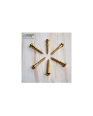 6 VIS Dorees pour Tremolo Vintage Strat Screws 3.5x25mm Gold GS 0004-002
