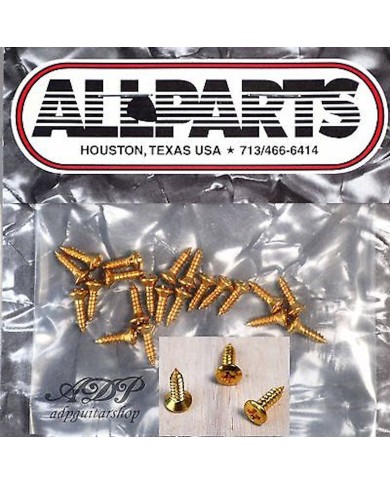 20 Schlagbrettschrauben im GIBSON-Format 2,5 x 10 mm SG-Schrauben GOLDEN