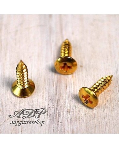20 Schlagbrettschrauben im GIBSON-Format 2,5 x 10 mm SG-Schrauben GOLDEN