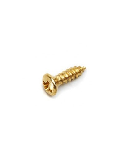 20 Schlagbrettschrauben im GIBSON-Format 2,5 x 10 mm SG-Schrauben GOLDEN