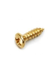 20 Gibson style 2,5 x 10 mm Gold SG pickguard screws