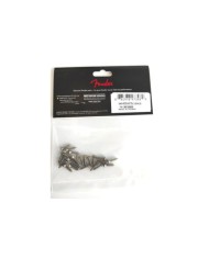 24 Vis Fender® Road Worn pour Pickguard / Control plate