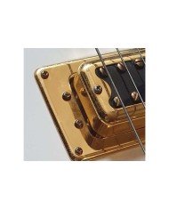 1 Gold Dual Screw mount adaptor