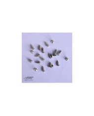 20 VIS PICKGUARD format GIBSON 2,5 x 10 mm SG screws Chrome