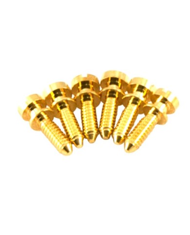 Kluson USA Messing-Intonationsschrauben, Gold, 6er-Set für ABR-1 Tune-O-Matic Stege ohne Verdrahtung