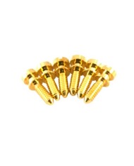 Kluson USA Messing-Intonationsschrauben, Gold, 6er-Set für ABR-1 Tune-O-Matic Stege ohne Verdrahtung