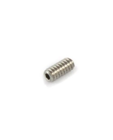 12 kurze Edelstahlschrauben zur Höheneinstellung für Gitarre, 6.35mm - 1/4 inch