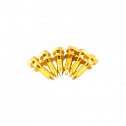 6 Gold intonation screws...