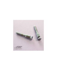 2 Floyd Rose Tremolo Pivot-Schrauben, Chrom