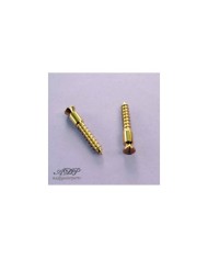 2 Goldene Pivot-Schrauben für Floyd Rose Tremolo, passend für Original Floyd Rose und Schaller