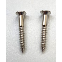 2 Nickel 3,5 x 25mm screws...