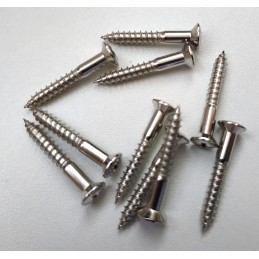 10 Nickel 3,5 x 25mm screws...