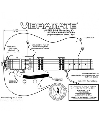 Vibramate V5 Short Mount Bigsby B5 Montage auf Telecaster