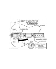 Short mount Vibramate V5 Mount Bigsby B5 Telecaster with V5-TEAS