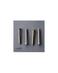 4 Vis Fixation Manche Chrome format Fender 4,2 x 45mm