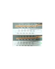 6 in line Gold Wilkinson machine head with E-Z-LOK system