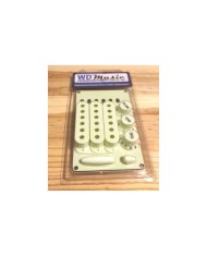 Kit d'accessoire WDMusic Mint green pour stratocaster
