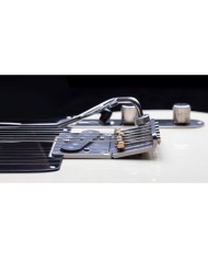 Vega-Trem VT2 Teletrem classic Tremolo Tele Style