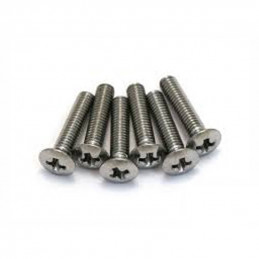 6 small chrome screws for...