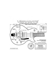 Vibramate V7 Gold Mounting Kit for Bigsby B7 carved Guitars with StopTail