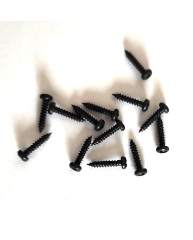 12 Standard-Schrauben Schwarz 2,1 mm x 10 mm für Mechaniken von E-Gitarren