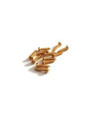 12 Vis Gold standard 2,1 mm x 10 mm pour mécaniques pour guitare éléctrique