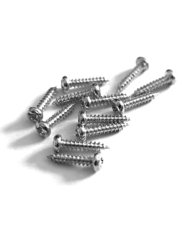 12 Standard-Nickelschrauben 2,1 mm x 10 mm für Mechaniken von E-Gitarren