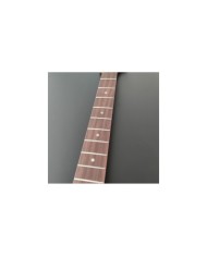 Stratocaster roasted maple neck and rosewood fingerboard, satin nitro finish