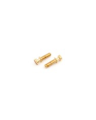 Faber Vintage style tailpiece studs set (2), inch, gold