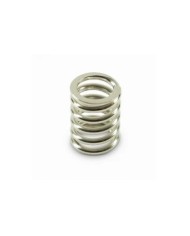 Bigsby 0495-1975C 1 Inch Tension Spring Chrome