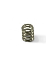 Bigsby 7/8 Inch Tension Spring Chrome 0495-1967C