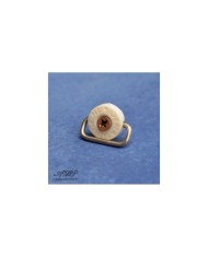 Drehbarer Saitenniederhalter DYNAGUIDE Ring SwivelString Tree Guide WEISS - DYW