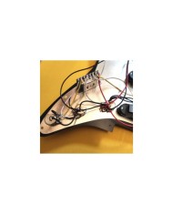 Black Loaded Pickgaurd Start SSS, Ceramic pickup Alnico V