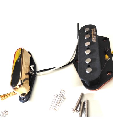 Set Wilkinson Tele-Tonabnehmer, Vintage 60's Gold