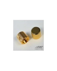 2 goldene Metallknöpfe Big Grip P-Bass FlatTop Pots 6 mm