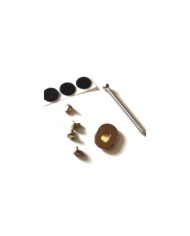 TOWNER Bigsby Hinge Plate Adapter KIT GOLD, with 2 inch Screw