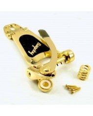 Towner Bigsby B3 Kit with Down Tension Bar and Hinge Plate Adaptor - Gold
