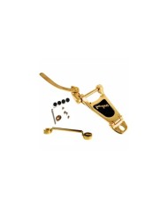 Kit Towner avec Bigsby B3 Gold - Gaucher